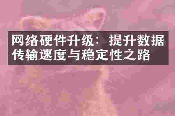 网络硬件升级：提升数据传输速度与稳定性之路