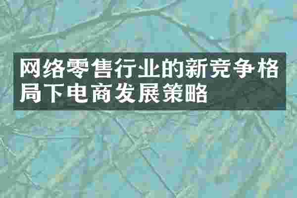 网络零售行业的新竞争格局下电商发展策略