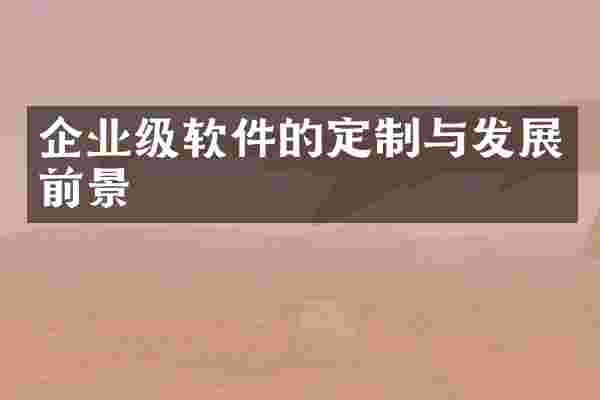 企业级软件的定制与发展前景