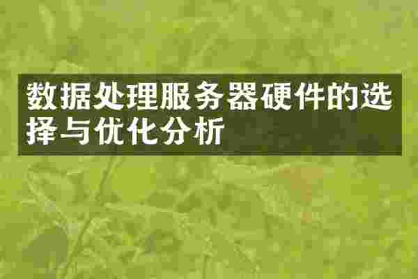 数据处理服务器硬件的选择与优化分析