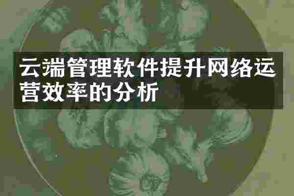 云端管理软件提升网络运营效率的分析