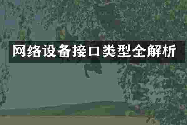 网络设备接口类型全解析