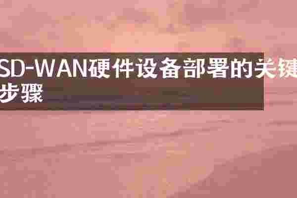 SD-WAN硬件设备部署的关键步骤