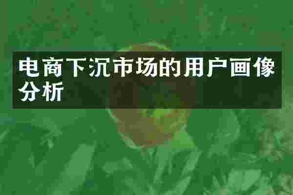 电商下沉市场的用户画像分析
