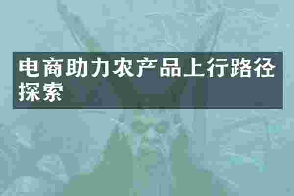 电商助力农产品上行路径探索