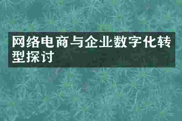 网络电商与企业数字化转型探讨