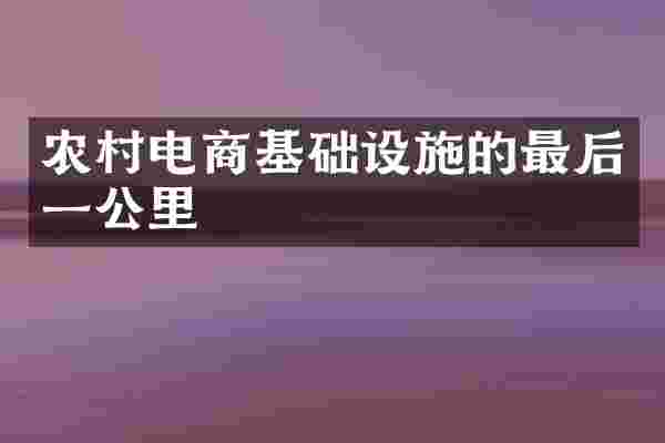 农村电商基础设施的最后一公里