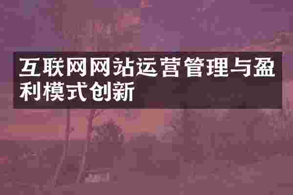 互联网网站运营管理与盈利模式创新