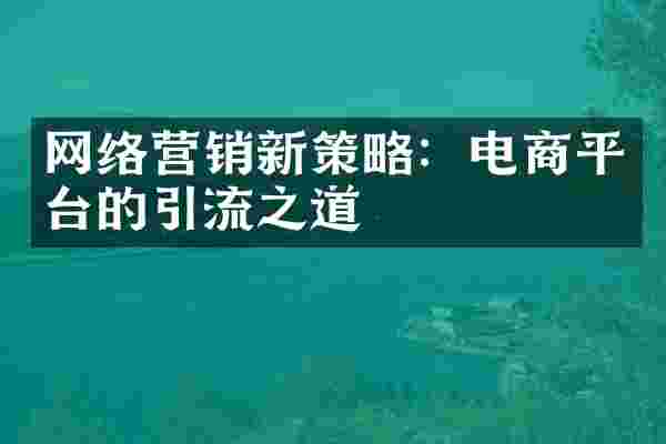 网络营销新策略：电商平台的引流之道
