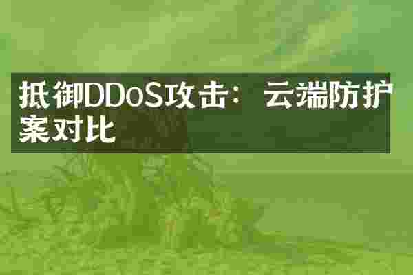 抵御DDoS攻击：云端防护方案对比