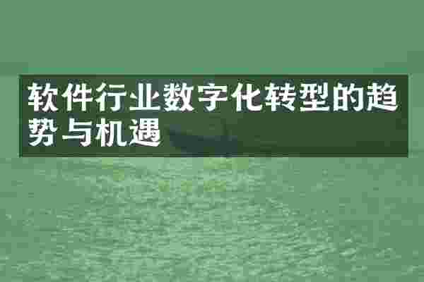 软件行业数字化转型的趋势与机遇