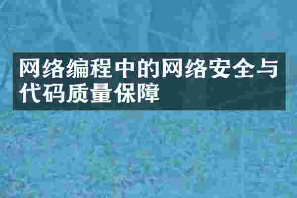 网络编程中的网络安全与代码质量保障