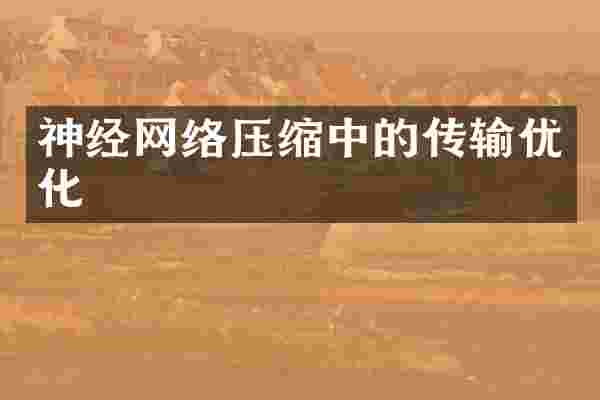 神经网络压缩中的传输优化