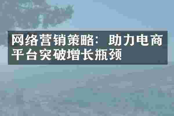 网络营销策略：助力电商平台突破增长瓶颈