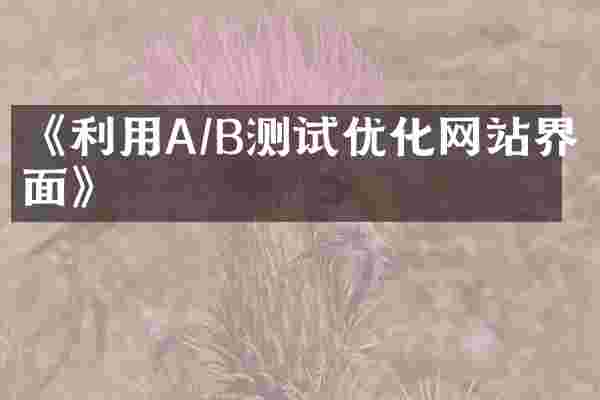 《利用A/B测试优化网站界面》