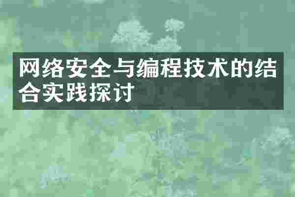 网络安全与编程技术的结合实践探讨