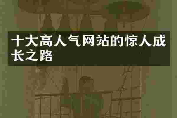十大高人气网站的惊人成长之路