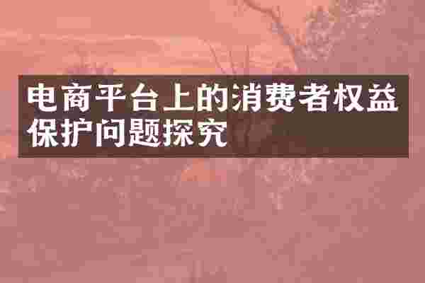 电商平台上的消费者权益保护问题探究