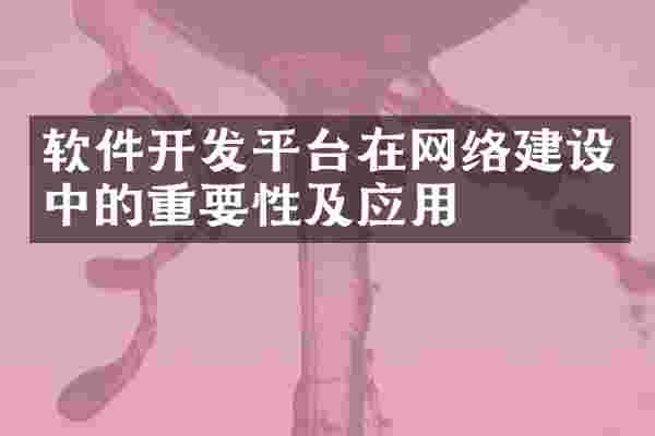 软件开发平台在网络建设中的重要性及应用