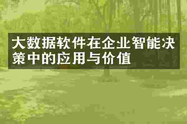 大数据软件在企业智能决策中的应用与价值