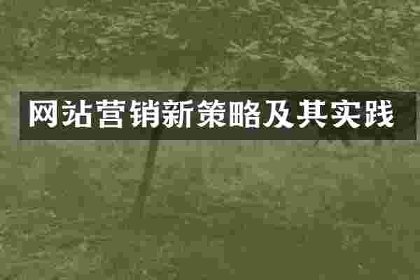 网站营销新策略及其实践