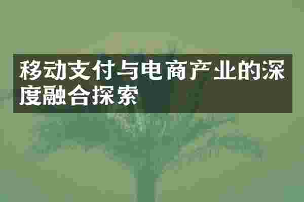 移动支付与电商产业的深度融合探索