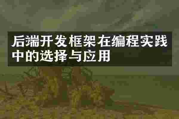 后端开发框架在编程实践中的选择与应用